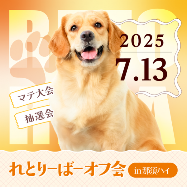 スポットフォト