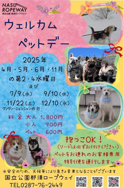 スポットフォト