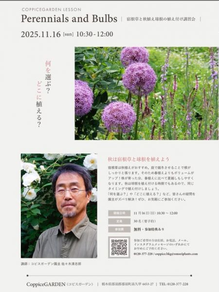 スポットフォト