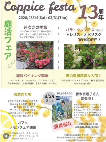 スポットフォト