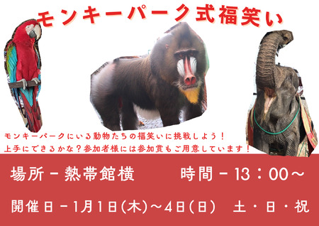 スポットフォト