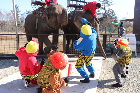 スポットフォト