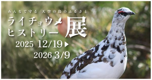 スポットフォト