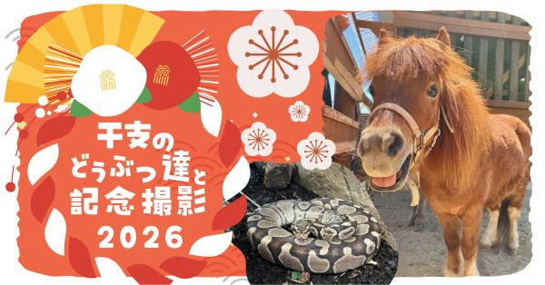 スポットフォト