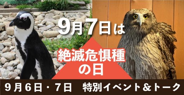 スポットフォト