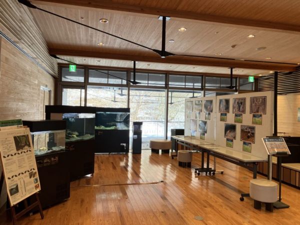 スポットフォト