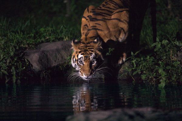 スポットフォト