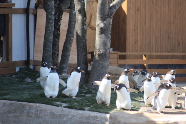 スポットフォト