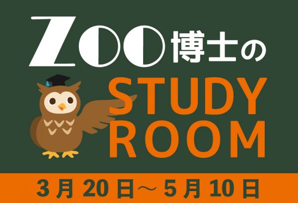 スポットフォト