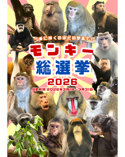 スポットフォト