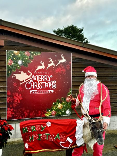 スポットフォト