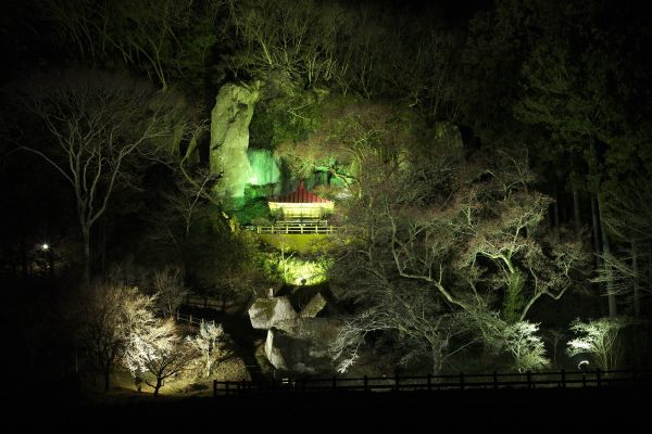 スポットフォト